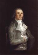 Don Andres del Peral Francisco de Goya